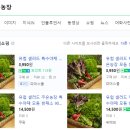 주은농장2 이미지