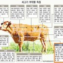 (주)에이브이미트