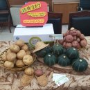 조미영농장 이미지