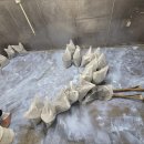 대흥종합인테리어 이미지