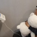 브레인트레이너협회 이미지
