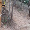 코리아둘레길 ’남파랑길’(해남구간) 이미지