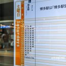 꽃무리 뜸 | 후쿠오카 여행 2박3일 일정 4월 날씨 벚꽃 개화시기 실시간