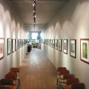 영월곤충박물관 이미지