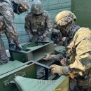 트기로