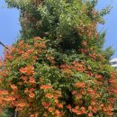 노삼웅한의원 이미지