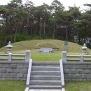 농암로(예안면) Daum카페