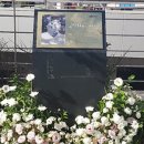 오동동023 이미지