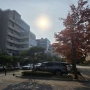 모당공원작은도서관 | [동네 탐방] 모당공원 속 "모당공원작은도서관"