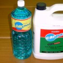 서진 카포스 이미지