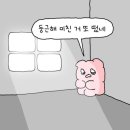 새미끌집 이미지