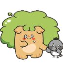 대진카써비스 이미지