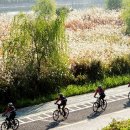 학의천 수질정화시설 공중화장실 | [서울] 생명이 흐르는 안양천과 안양천 생태이야기관