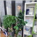 대경정밀 | 경산보청기추천 경산에서 찾은 청력 케어의 정답, 복음보청기 대경센터