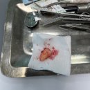 돌담치과의원 이미지