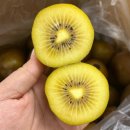 🍏 스위트풋사과 🍇 씨없는 충량포도 💫 왕자두 🍑 딱딱이/ 백도/ 황도 🥑 아보카도 🍊 카라카라오렌지 🍈 허니듀메론 이미지