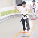 용문태권도장 이미지