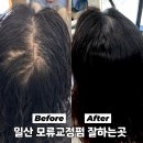신세계인터내셔날JAJU파주운정 | 모류교정 미용실 추천드려요 탈모처럼 보이던 정수리 해결한 아이디헤어 운정 산내점 가을쌤 시술 후기