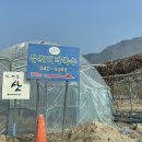 (주)유포리막국수 이미지