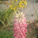 김남순농장 이미지