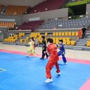 합기도·우슈 정도관 이미지