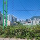 축구장 옆 화단 이미지