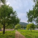 세븐일레븐 남양주송촌리점 이미지