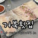 거북횟집 | [다대포 맛집] 상다리 휘어지는 기본상차림 활어회 맛집 &lt;거북횟집&gt; 현지인 로컬맛집 추천