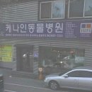 케나인동물병원 이미지