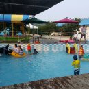 너울가지 이미지