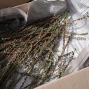 이은석농장 이미지