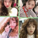 러블리퍼피 이미지