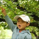 준하농장 이미지