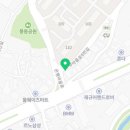 풍동토종골