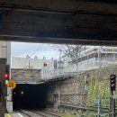 파크힐 | 아일랜드 더블린 근교 여행｜킬라이니 힐 파크 산책·전망 후기