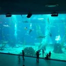 나무게스트하우스 이미지