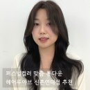 리즈헤어 | 신촌역미용실 헤어루아브 리즈디자이너 톤다운 후기