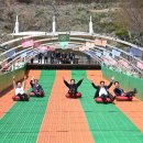 사계절썰매장 이미지