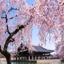 경회루 - 동구 중앙대로180번길 6-13 | 경회루