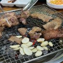 햇살농원 애견 이미지