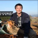 광명인삼 이미지