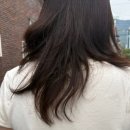 대구 동성로 미용실 추천, 로이드밤 동성로점 헤어클리닉 후기