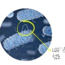 목동세계로약국 이미지
