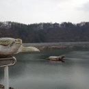 백일태양광 이미지