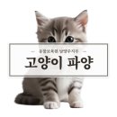 동물보육원 용인지부 이미지