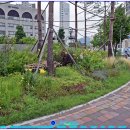 방학사거리 이미지