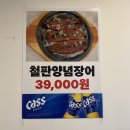 청춘장어