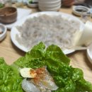 제주도민 맛집 추천 경락횟집 도다리회 세꼬시 내돈내산 후기