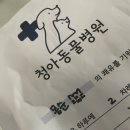 청아동물병원 이미지
