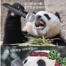 헤이브 이미지